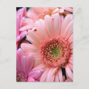 Farbenfrohe Tage Postkarte