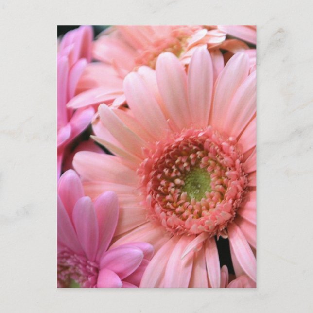 Farbenfrohe Tage Postkarte (Vorderseite)