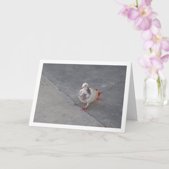 Farbenfrohe Taube im Kloster San Miguel Karte (Orchidee)