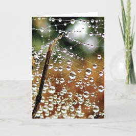 Farbenfrohe Taubenfallen Karte