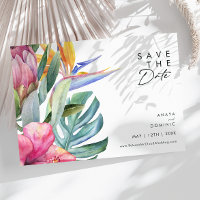 Farbenfrohe tropische Flora | Horizontal