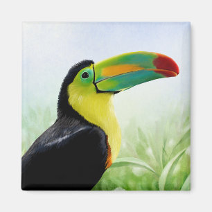 Farbenfrohe tropische Vögel Schwarz Gelb Grün Touc Magnet