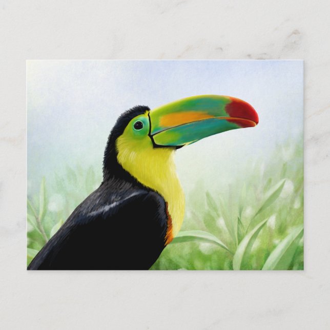 Farbenfrohe tropische Vögel Schwarz Gelb Grün Touc Postkarte (Vorderseite)