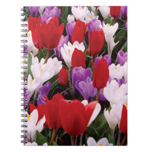 Farbenfrohe Tulip-Blume SpiralNotebook Notizblock