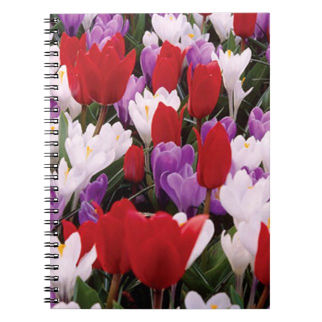 Farbenfrohe Tulip-Blume SpiralNotebook Notizblock (Vorderseite)