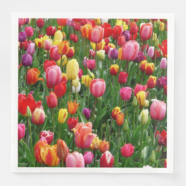 Farbenfrohe Tulips Blume Papier Napkins Serviette (Vorderseite)