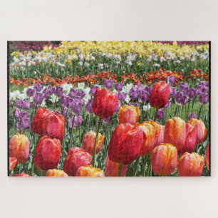 Farbenfrohe Tulips im Bloom Elizabeth Park Hartfor Puzzle