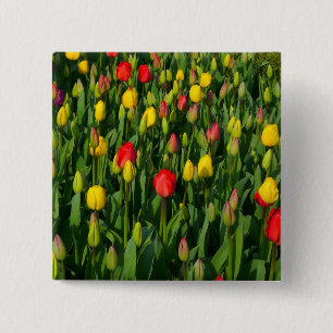 Farbenfrohe Tulissen Button
