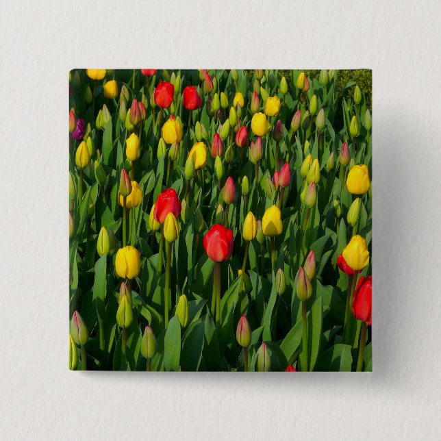 Farbenfrohe Tulissen Button (Vorderseite)