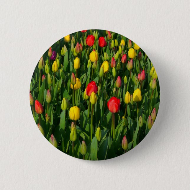 Farbenfrohe Tulissen Button (Vorderseite)