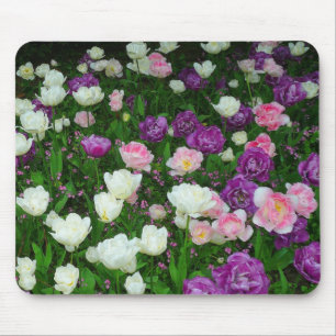 Farbenfrohe Tulissen Mousepad