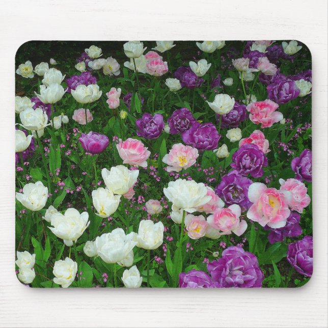 Farbenfrohe Tulissen Mousepad (Vorne)