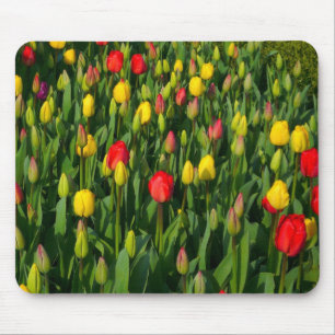 Farbenfrohe Tulissen Mousepad