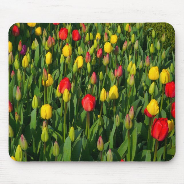 Farbenfrohe Tulissen Mousepad (Vorne)