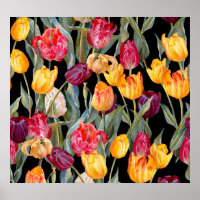 Farbenfrohe Tulpen, abgeschiedener schwarzer Hinte