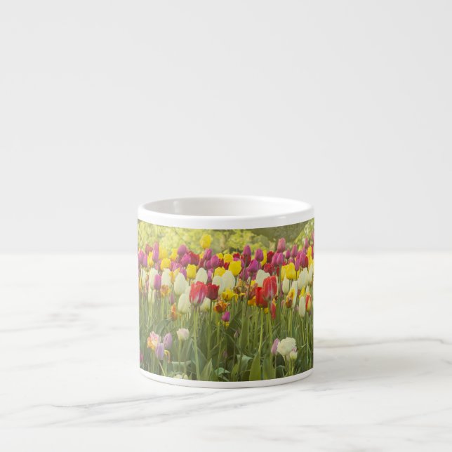 Farbenfrohe Tulpen im Park 2 Espressotasse (Vorderseite)
