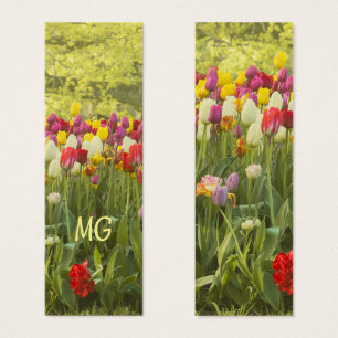 Farbenfrohe Tulpen in einem Park mit Initialen