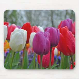 Farbenfrohe Tulpen Schönheit Mousepad