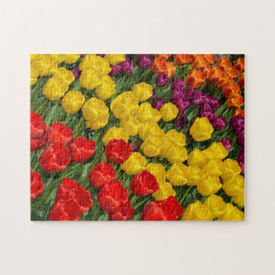 Farbenfrohe Tulpenreihen Puzzle