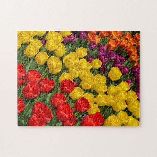 Farbenfrohe Tulpenreihen Puzzle (Horizontal)
