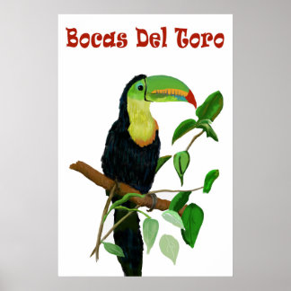 Farbenfrohe und tropische Panamas Toucan Poster. Poster