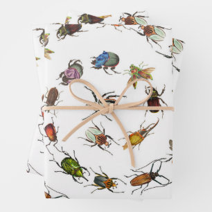 Farbenfrohe Vintage Bugs & Käfer Muster Geschenkpapier Set