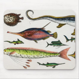 Farbenfrohe Vintage Fische Kindergeschenke Mousepad