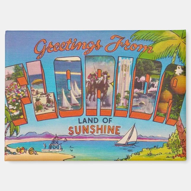 Farbenfrohe Vintage Florida Grüße Magnet (Vorderseite)
