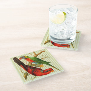 Farbenfrohe Vintage Rot-Grün-Papageien-Illustratio Glasuntersetzer