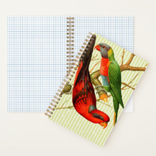 Farbenfrohe Vintage Rot-Grün-Papageien-Illustratio Notizbuch