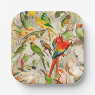 Farbenfrohe Vintage tropische Vogelarten Pappteller