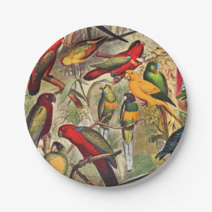 Farbenfrohe Vintage tropische Vogelparrosen Pappteller