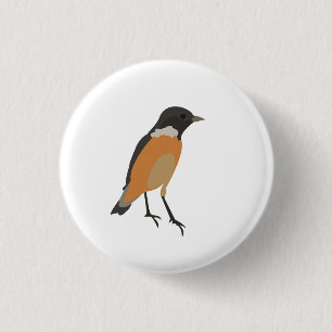 Farbenfrohe Vögel Songbird Button