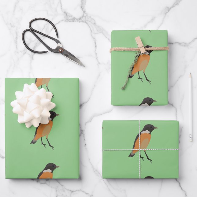 Farbenfrohe Vögel Songbird Geschenkpapier Set (Vorderseite)