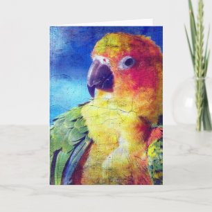 Farbenfrohe Vogelkräuseltextur Karte