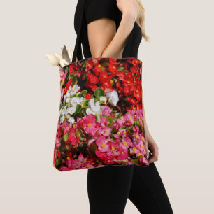 Farbenfrohe Wax Begonias