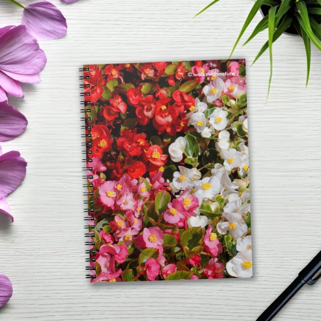 Farbenfrohe Wax Begonias Notizblock (Colorful Wax Begonias Journal Cover Photo)