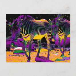 Farbenfrohe Zebras Postkarte