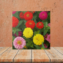Farbenfrohe Zinnia-Blume Fliese