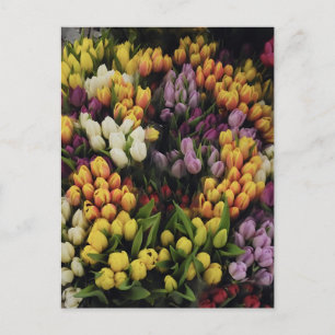 Farbenfroher Blumengarten im Blumen, stilvoll Postkarte