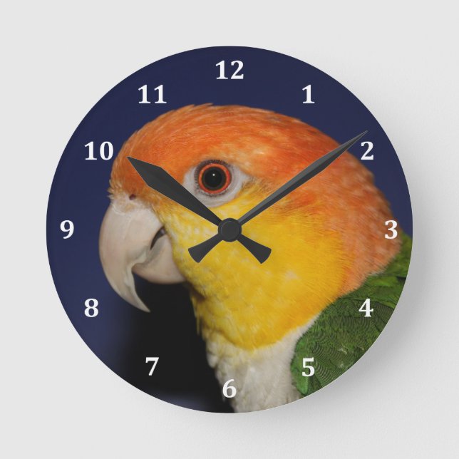 Farbenfroher Caique Parrot Runde Wanduhr (Vorderseite)