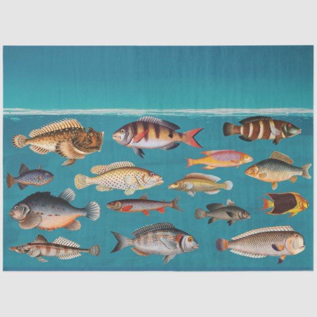 Farbenfroher Fisch unter blauem Meer Seidenpapier (Vorderseite)
