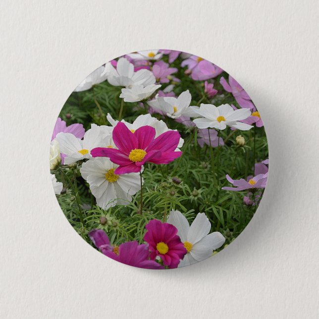Farbenfroher Kosmoblütengarten Button (Vorderseite)