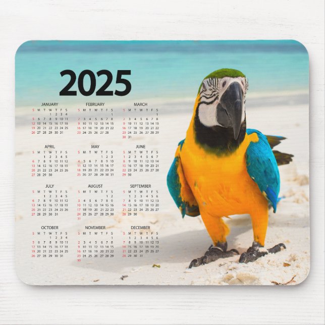 Farbenfroher Papagei im Sandkalender 2025 Mousepad (Vorne)
