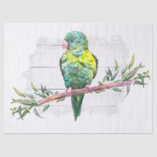 Farbenfroher Parrot tropische Wasserfarbe Seidenpapier