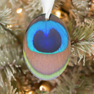 Farbenfroher Pfauenfeder-Augenfleck Urlaub Ornament