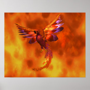 Farbenfroher Phönix fliegt vor einem frischen Hint Poster