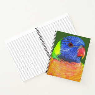 Farbenfroher Regenbogenlori-Papagei Notizbuch