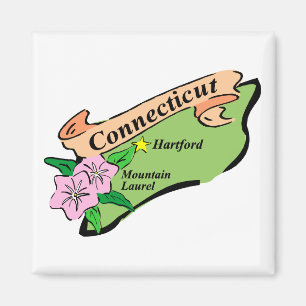 Farbenfroher Staat der T-Shirts von Connecticut Ma Magnet