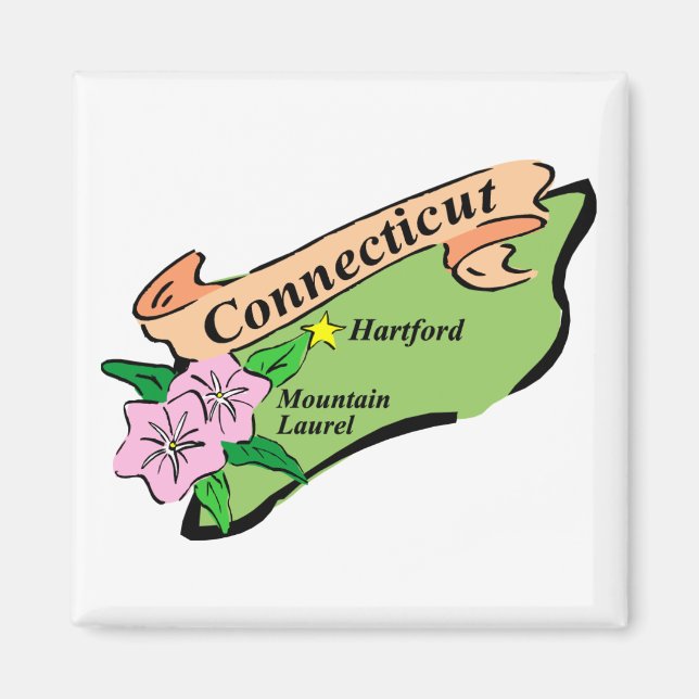 Farbenfroher Staat der T-Shirts von Connecticut Ma Magnet (Vorne)